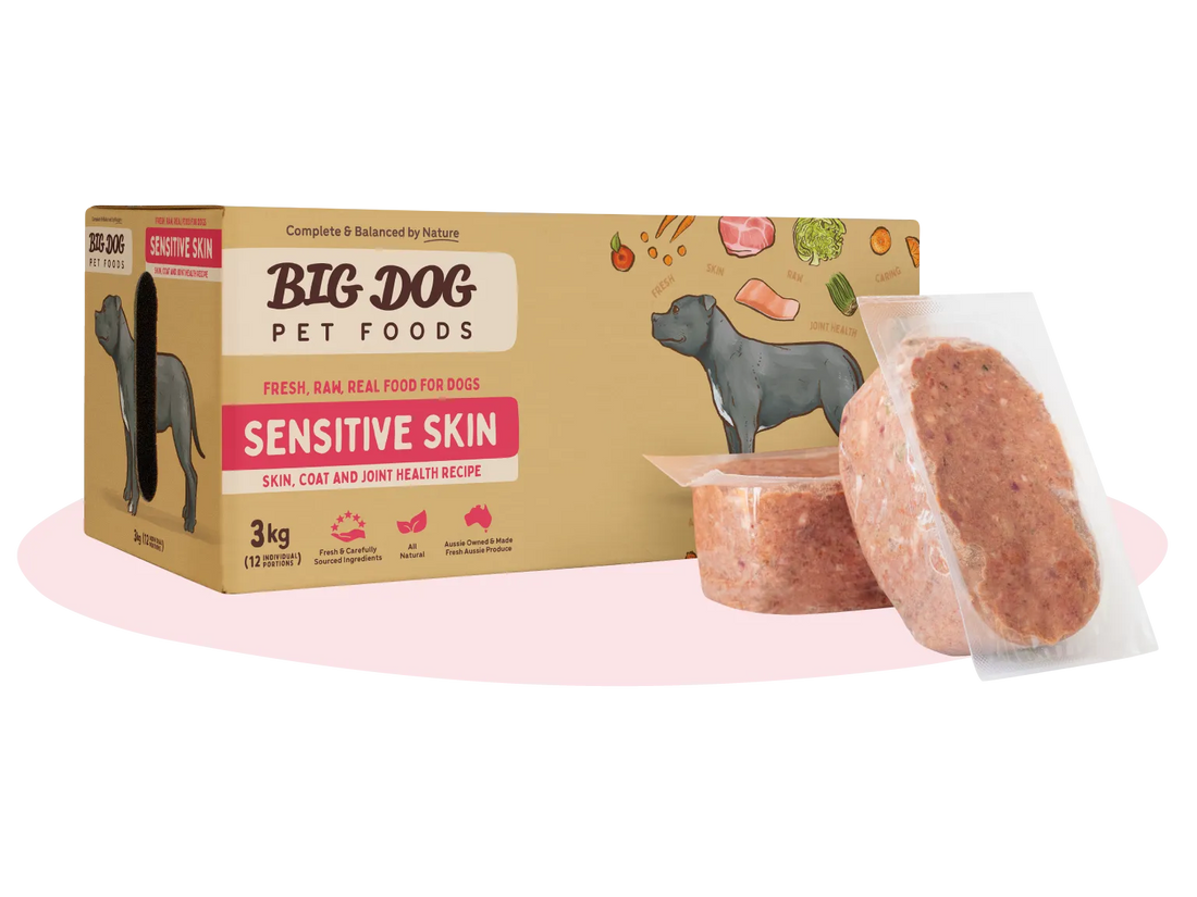 Big Dog Sensitive Skin Raw Dog Food 3kg