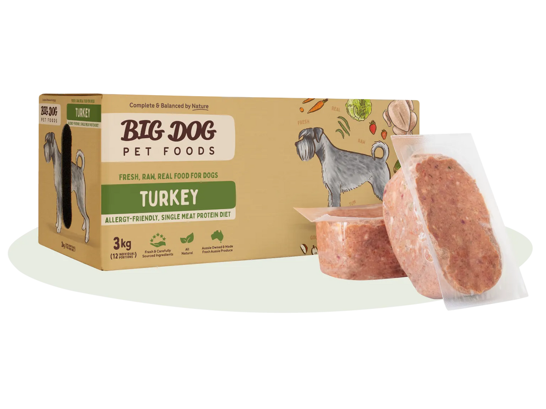 Big Dog Turkey Low Allergy Raw Dog Food 3kg
