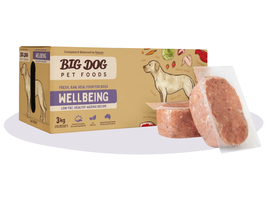 Big Dog Wellbeing Raw Dog Food 3kg