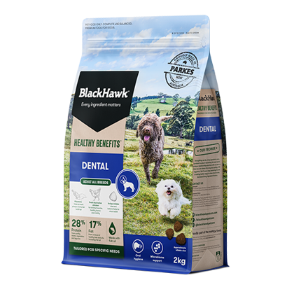 Black Hawk Healthy Benefits Dental