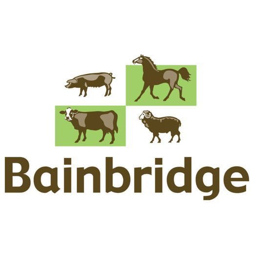 Bainbridge