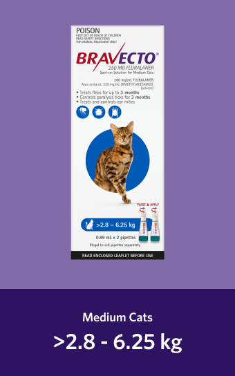 Bravecto Spot-On for Medium Cats 2.8 to 6.25kg, 2 dose pack