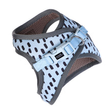 CAAT Adult Cat Harness & Leash Set - Dash