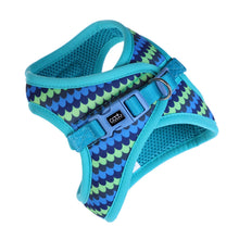 CAAT Adult Cat Harness & Leash Set - Pluto