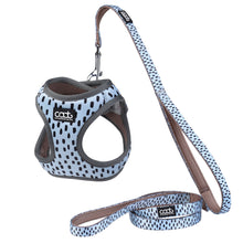 CAAT Kitten Harness & Leash Set - Dash