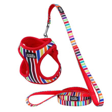 CAAT Kitten Harness & Leash Set - Scooby