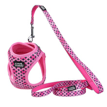 CAAT Kitten Harness & Leash Set - Toto