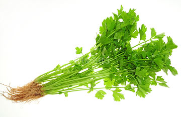Chinese Celery Light Green - Eden Seeds