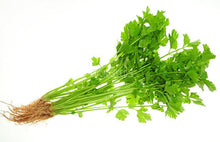 Chinese Celery Light Green - Eden Seeds