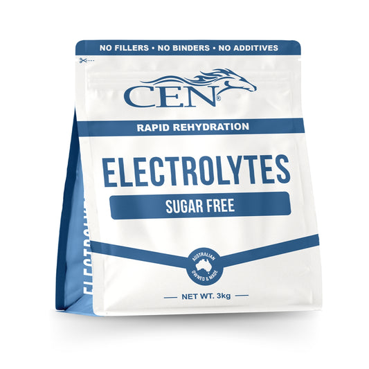CEN Complete Electrolyte for Horses