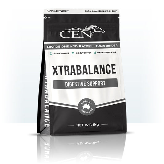 CEN XtraBalance 1kg