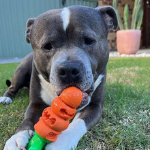 Happy Staffy Co PowerFlex™ Chomp Carrot 2