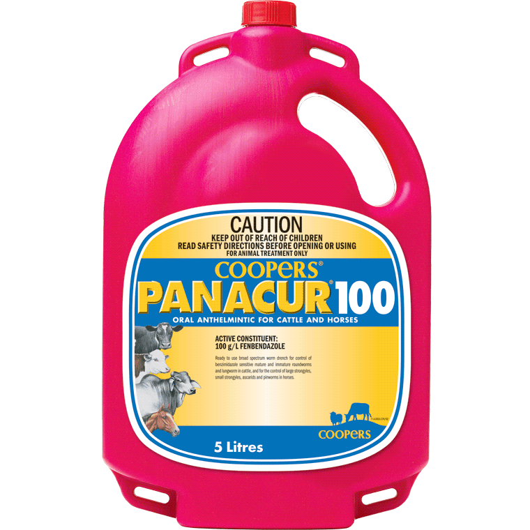 Coopers Panacur 100 broad spectrum drench 1L