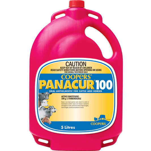 Coopers Panacur 100 broad spectrum drench 1L