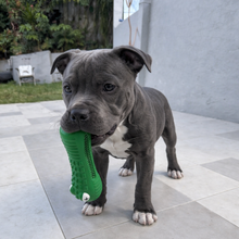 Happy Staffy Co Crocodile Dental Chew 2