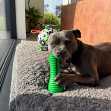 Happy Staffy Co Crocodile Dental Chew 3