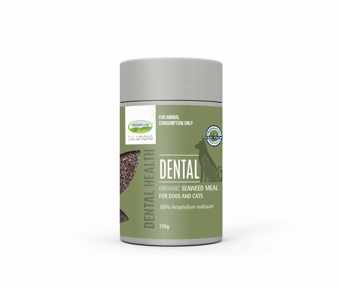 Crooked Lane Dental Organic Seaweed Meal