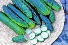 Cucumber Marketmore - Eden Seeds