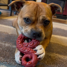 Happy Staffy Co Chewzilla® Deep Sea Mission 2