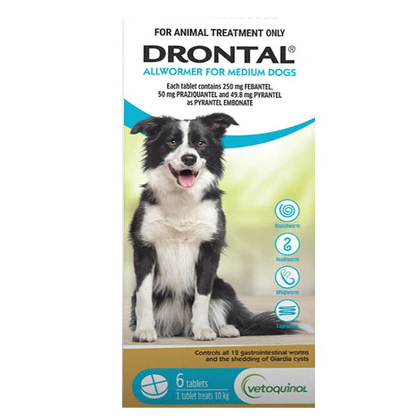 Drontal Allwormer tablets for medium dogs 6 pack