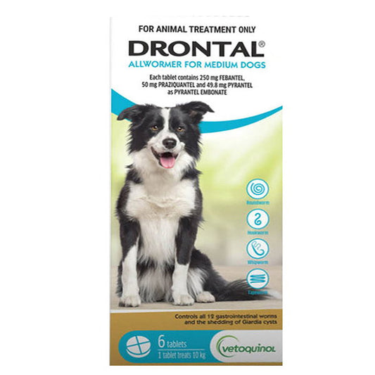 Drontal Allwormer tablets for medium dogs 6 pack