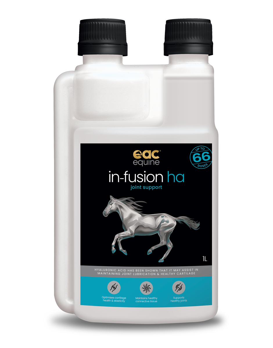 EAC In-Fusion HA Hyaluronic Acid for Horses