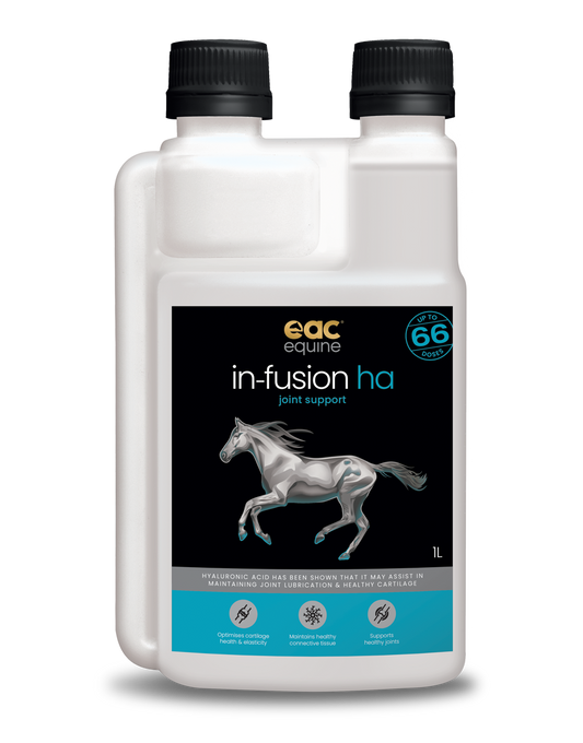 EAC In-Fusion HA Hyaluronic Acid for Horses