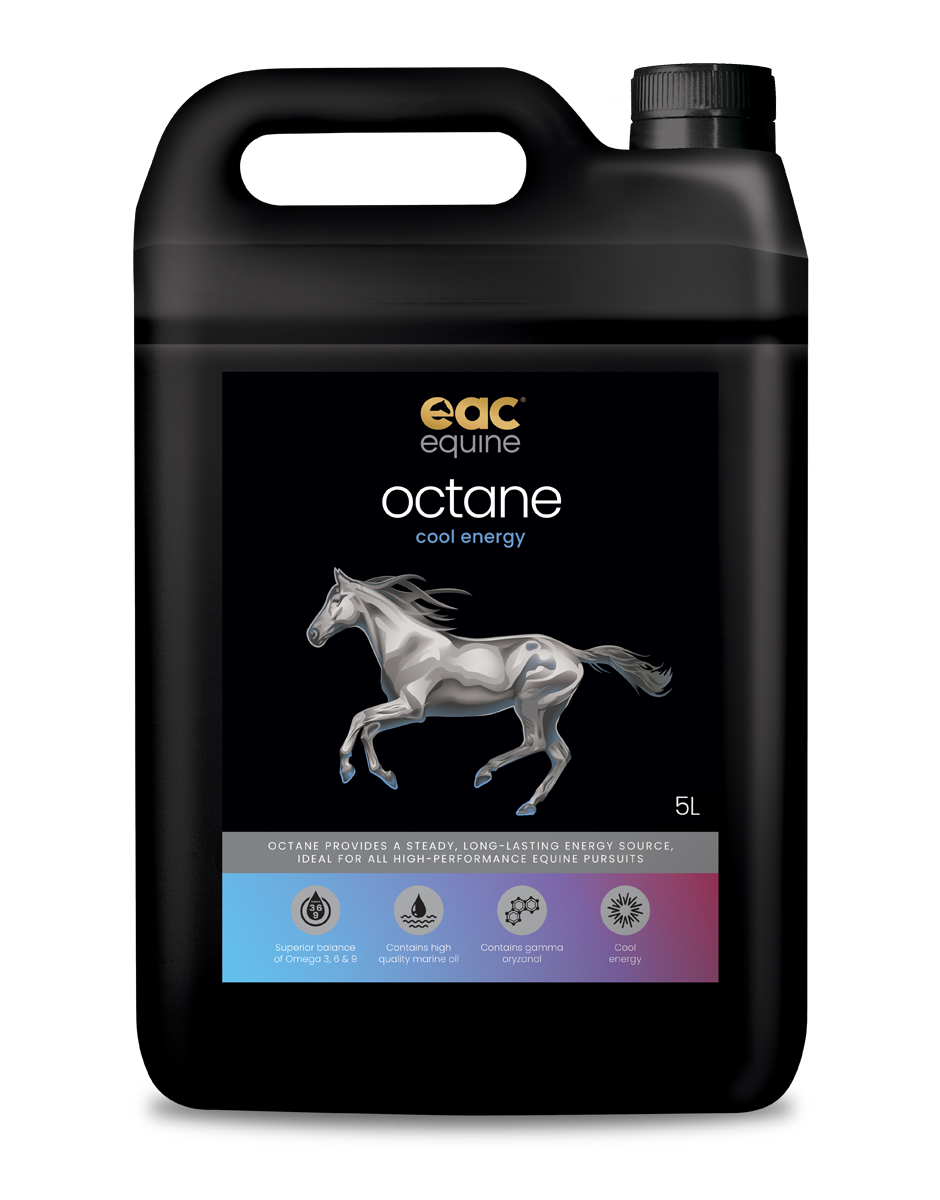 EAC Octane Cool Energy Oil for Horses