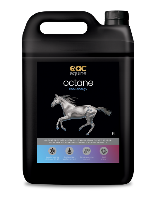 EAC Octane Cool Energy Oil for Horses