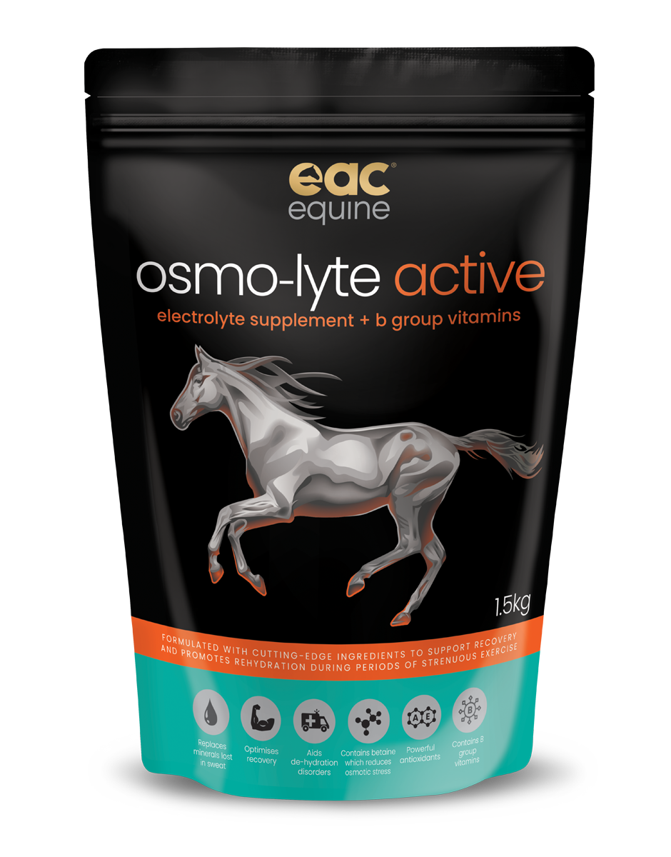 EAC Osmo-Lyte Active Electrolytes + B Vitamins