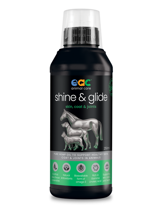 EAC Shine & Glide Pure Hemp Oil