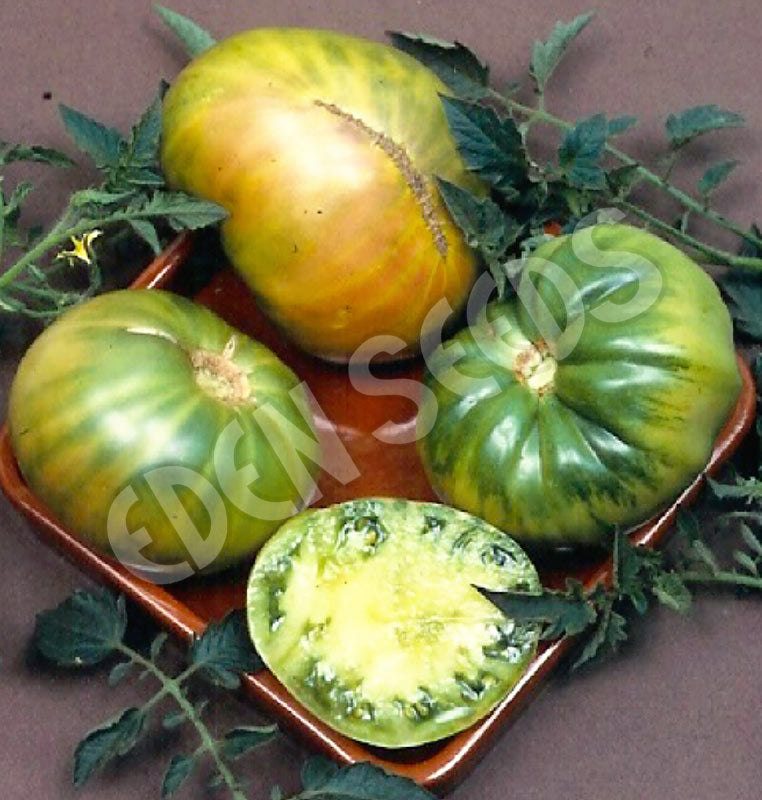 Tomato – Aunty Rubys Green – Select Organic — Eden Seeds supplier photograph