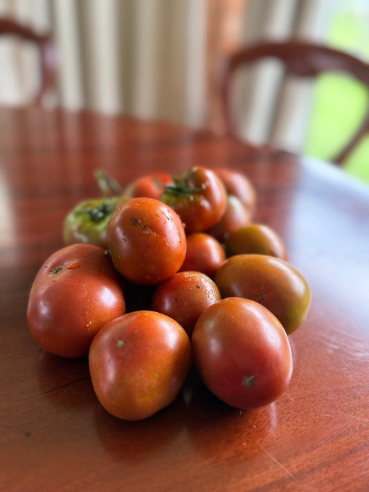 Tomato – Kangaroo Paw Brown – Eden Seeds — Eden Seeds supplier photograph