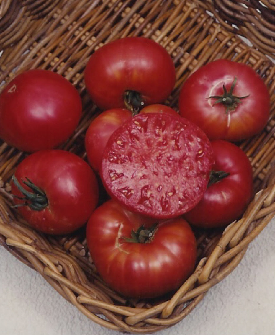 Tomato – Mortgage Lifter – Eden Seeds — Eden Seeds supplier photograph