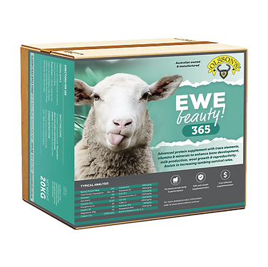 Olssons Ewe Beauty 365
