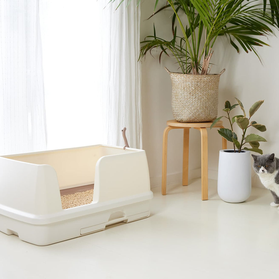 Ezi-LockOdour Dual Layer Cat Litter System XL Kit