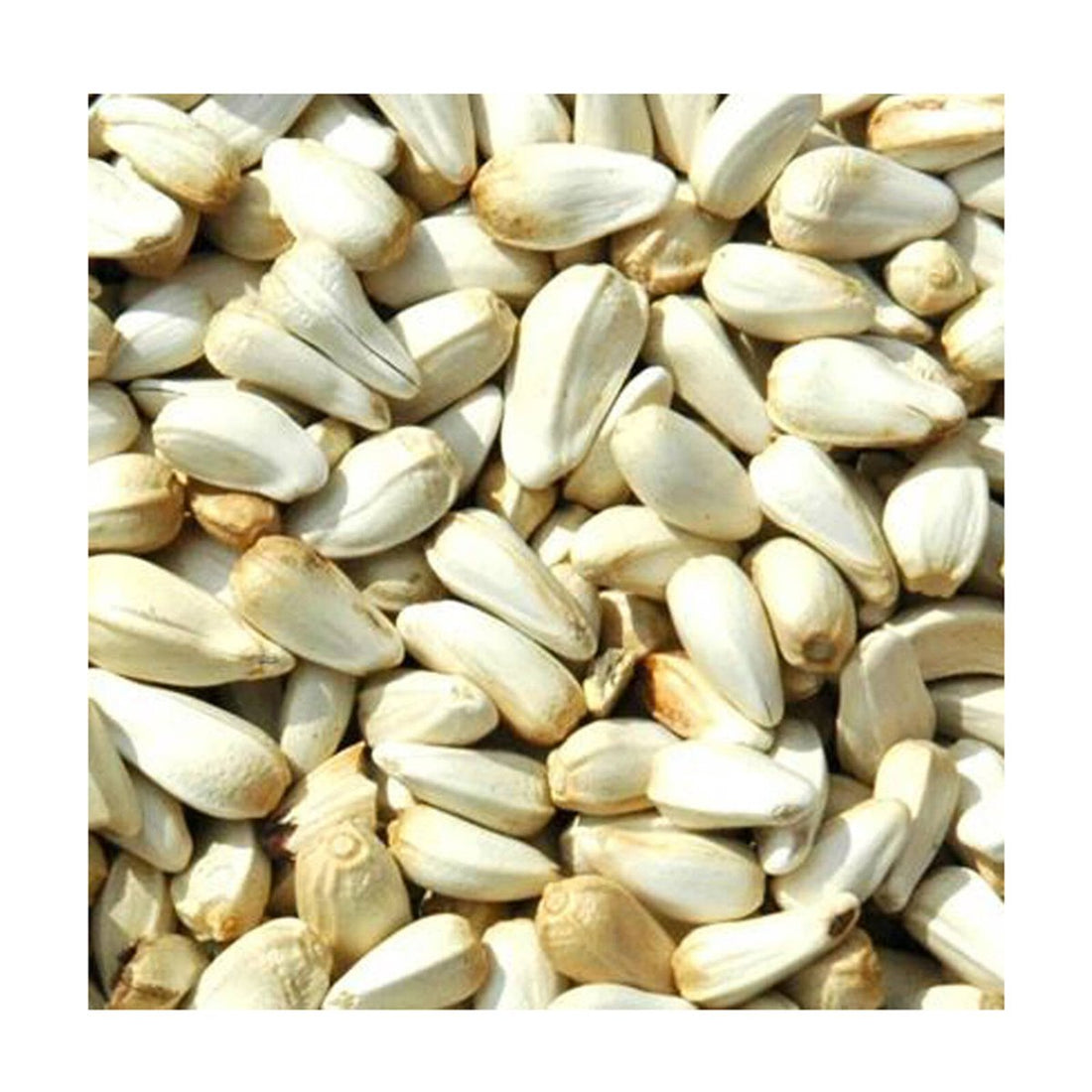Green Valley Grains Safflower Seed 20kg