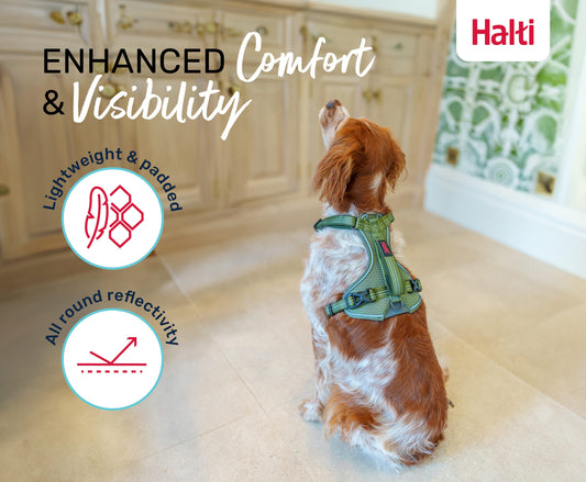 HALTI Anatomy Harness