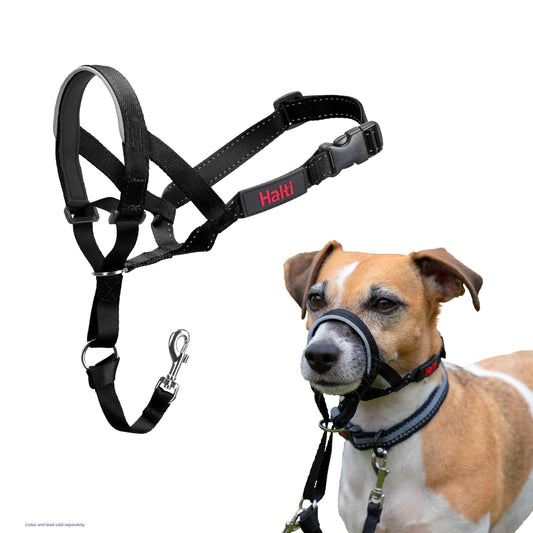 HALTI Headcollar