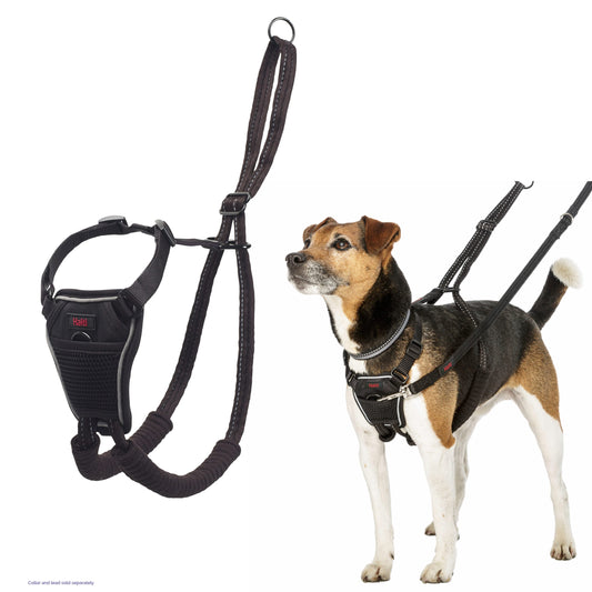 HALTI No Pull Harness