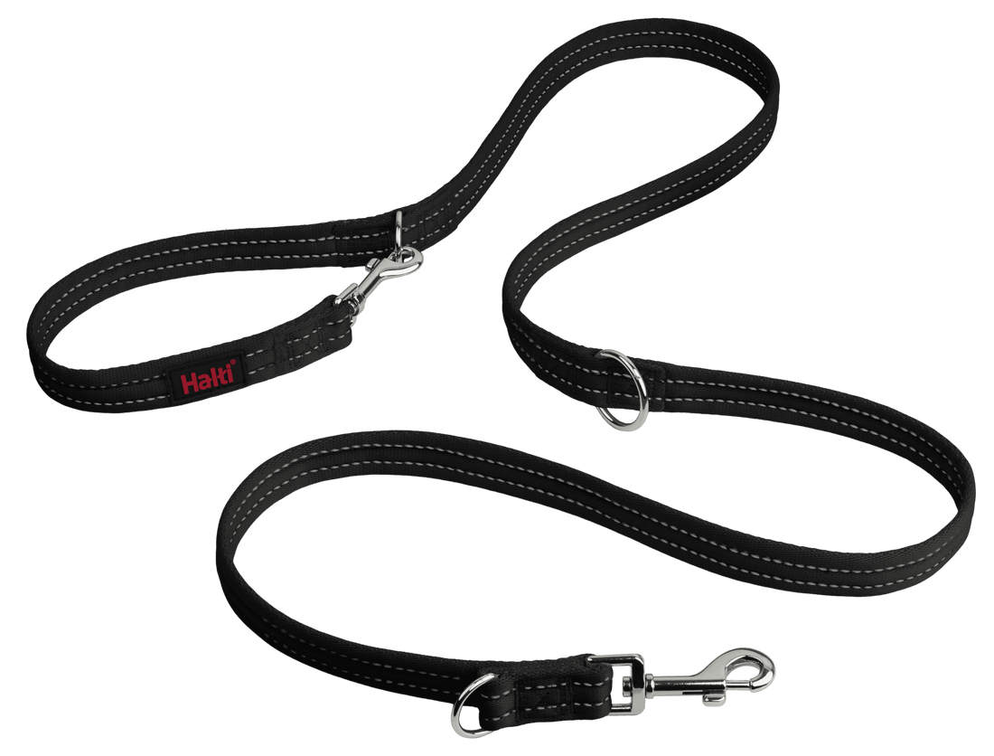 HALTI Training Lead