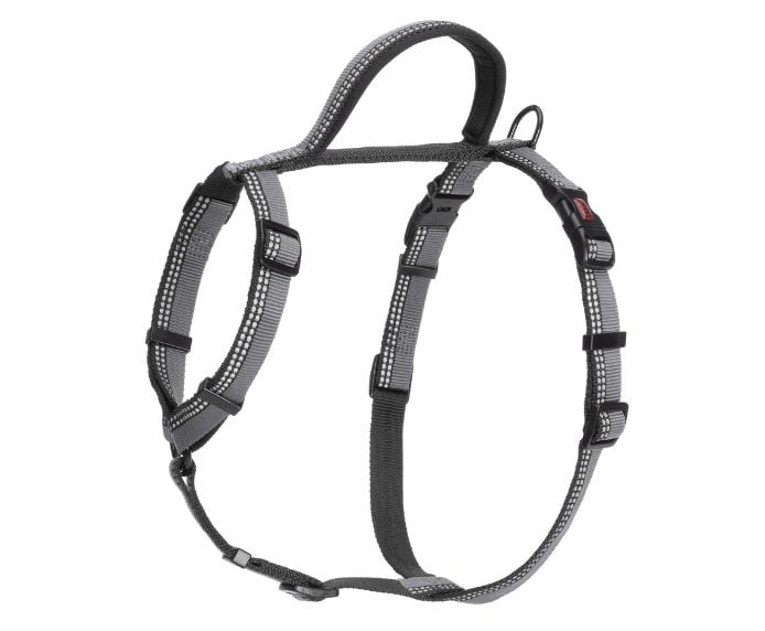 HALTI Walking Harness
