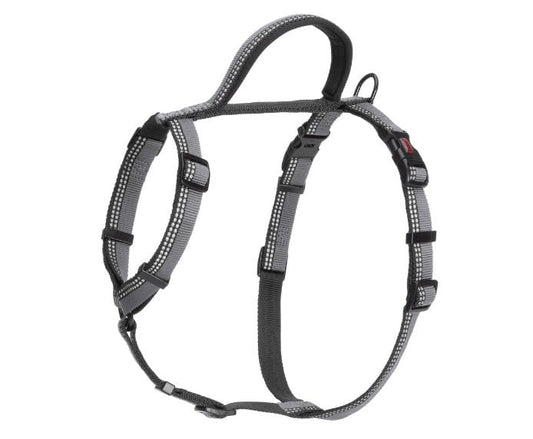 HALTI Walking Harness