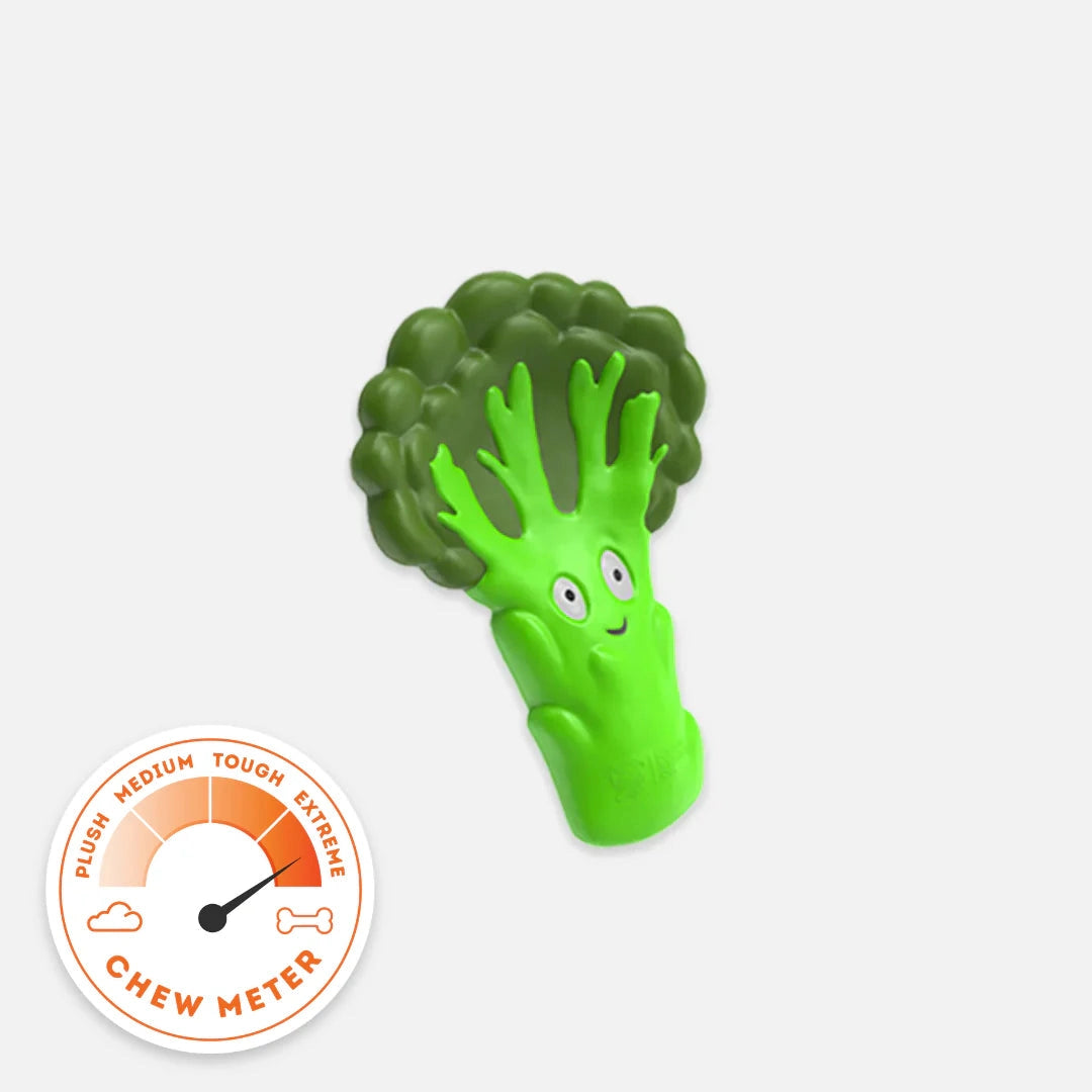 Chewzilla® Broccoli Crunch