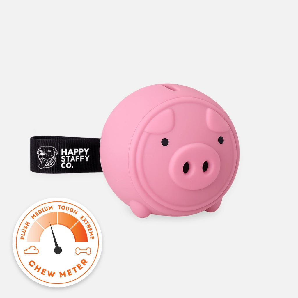 Poppy Pig Treat Dispenser