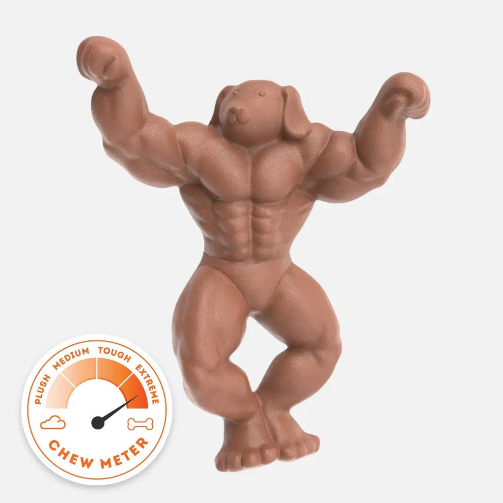 Chewzilla® Staffy Schwarzenegger