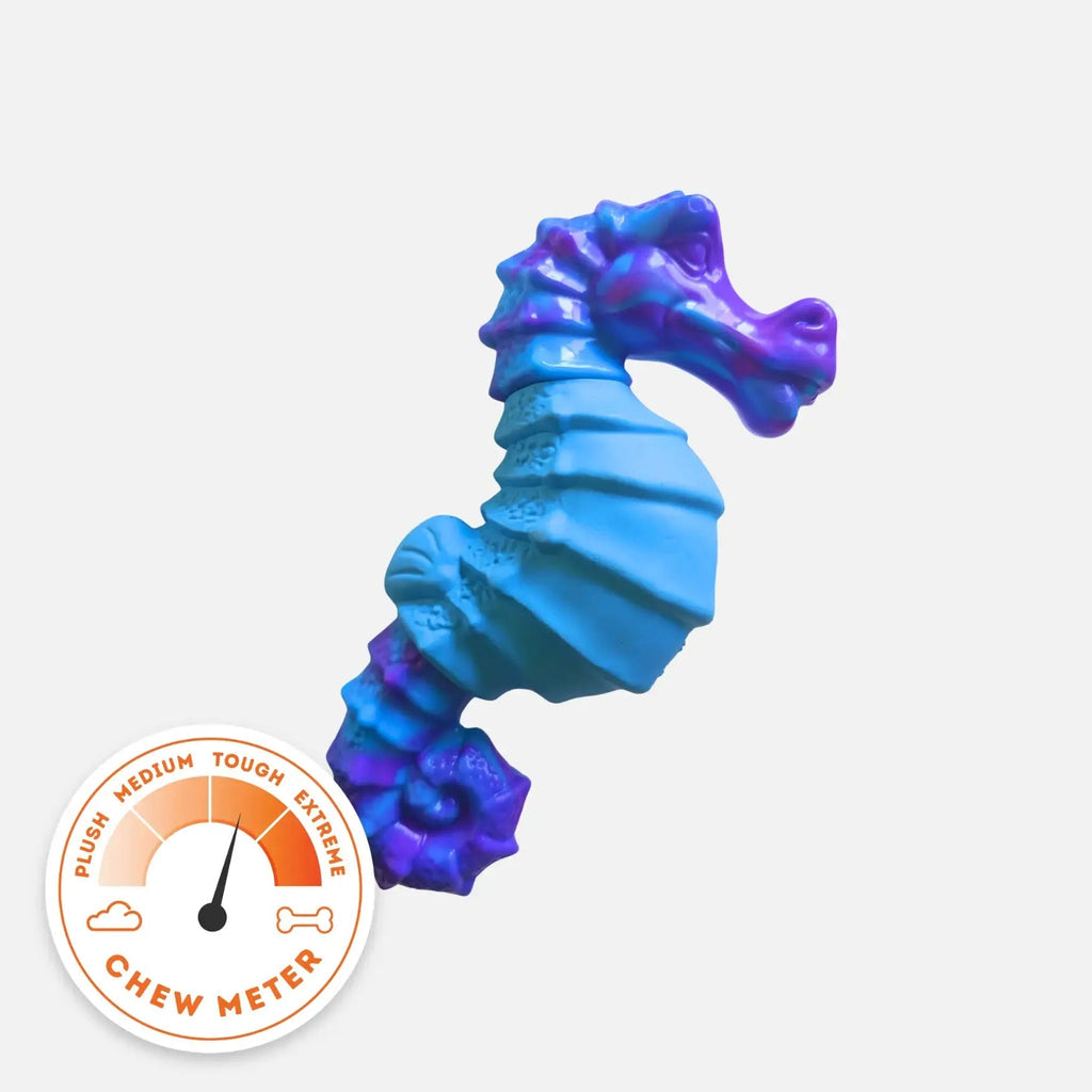 PowerFlex™ Seahorse Splash