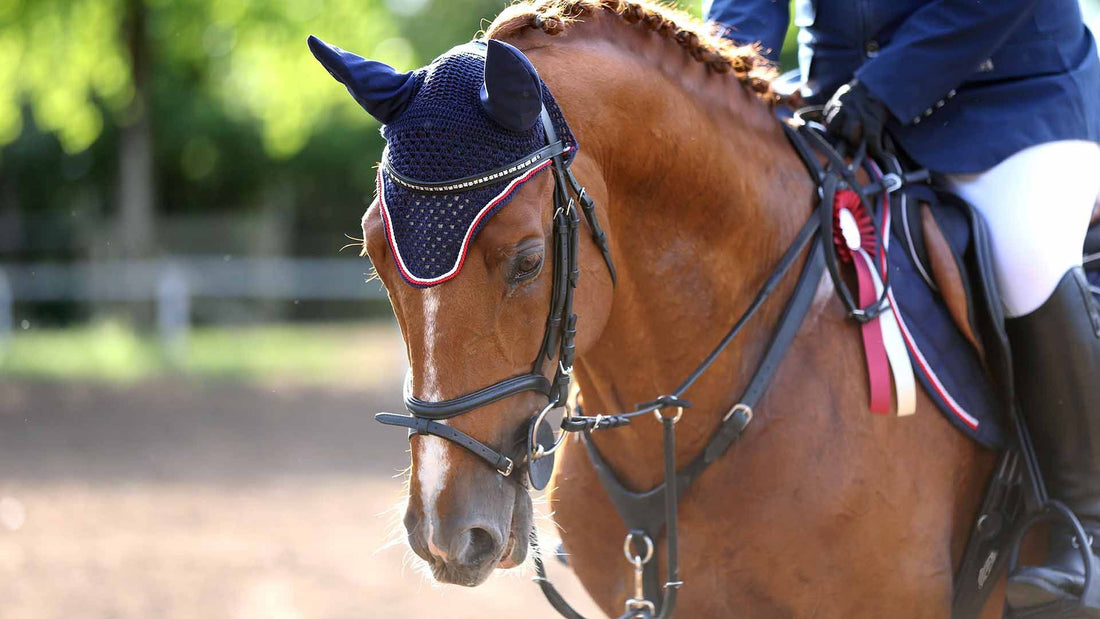 Harwood Grains Equine Performer 20kg