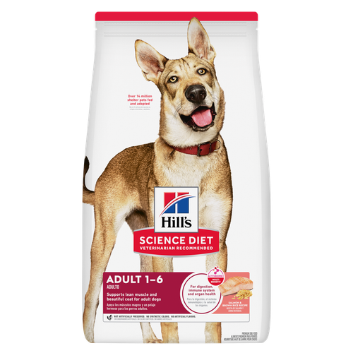 Hill's Science Diet Adult Salmon & Brown Rice Recipe Dog Food