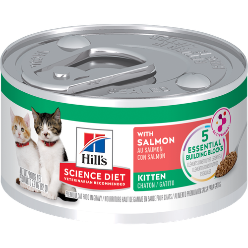 Hill's Science Diet Kitten Salmon Wet Cat Food 85g x 24